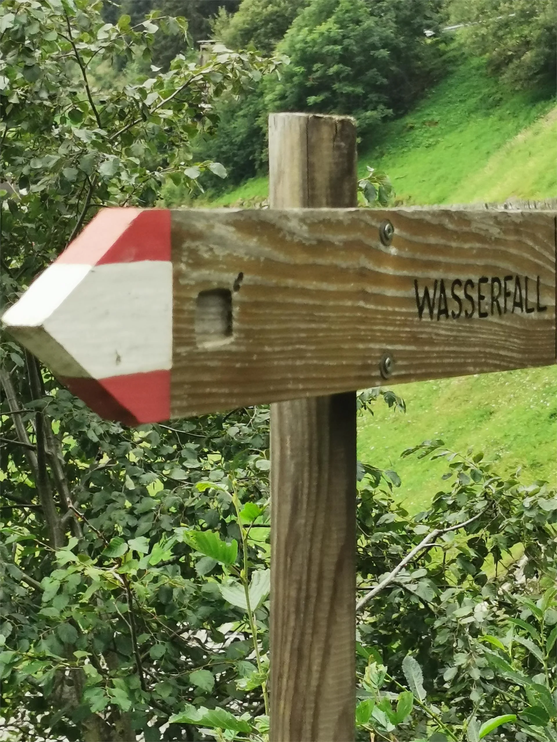 Alpinsteig Wasserfall Rundwanderweg Partschins 9 suedtirol.info