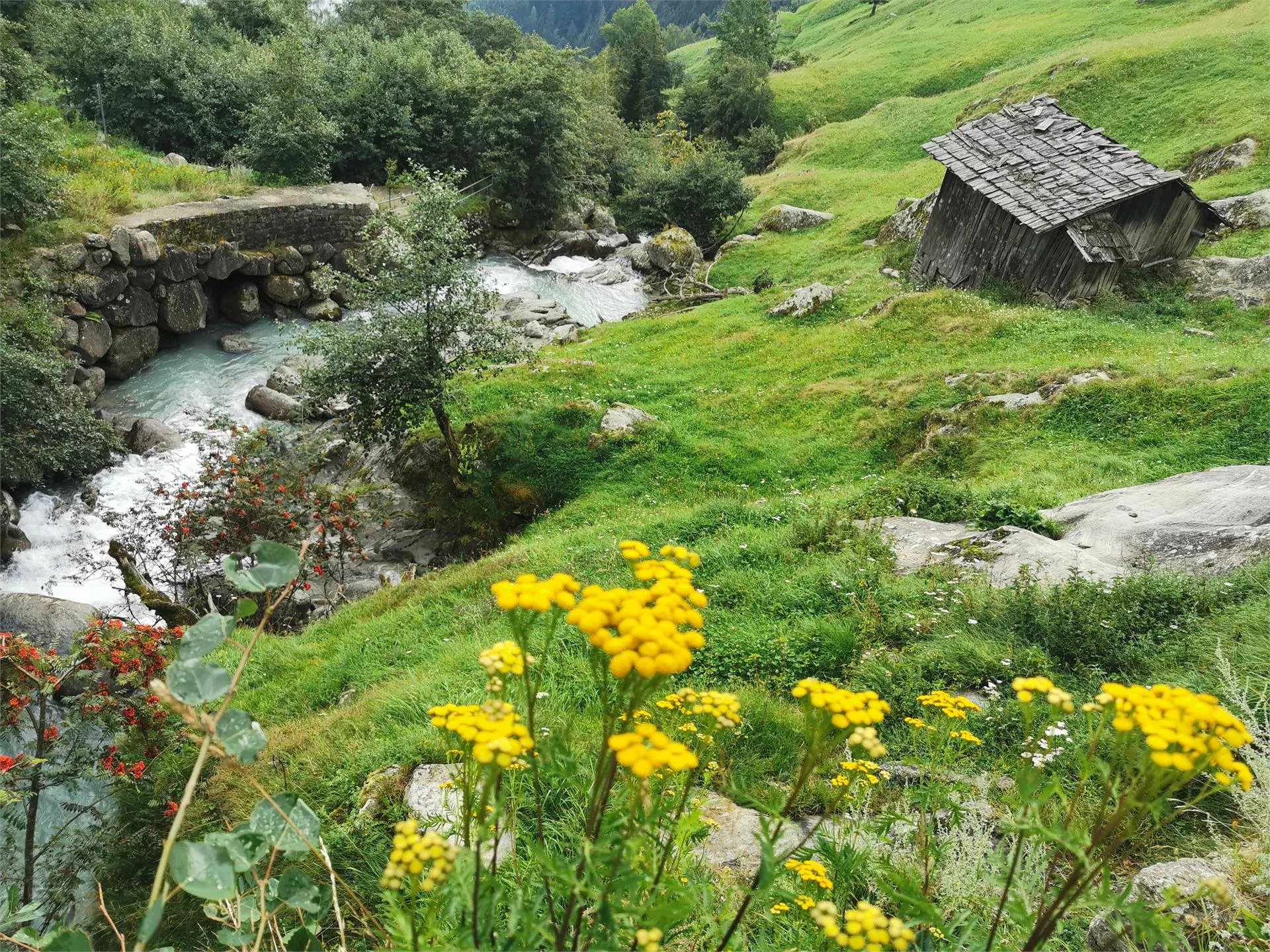 Alpinsteig Wasserfall Rundwanderweg Partschins 10 suedtirol.info