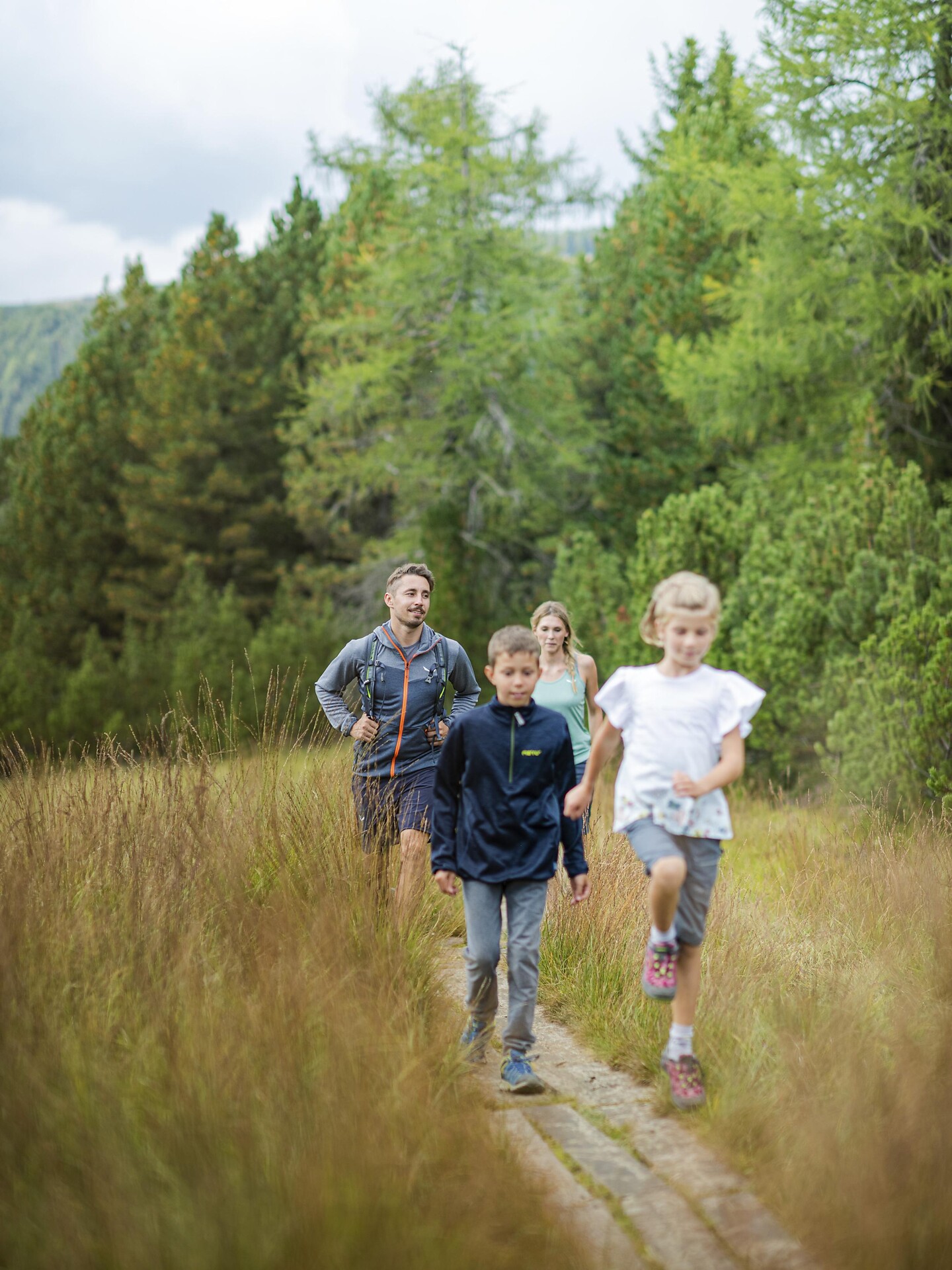 On the Villandro Alp plateau – ideal for families. - Brixen/Bressanone and environs - #2 - suedtirol.info