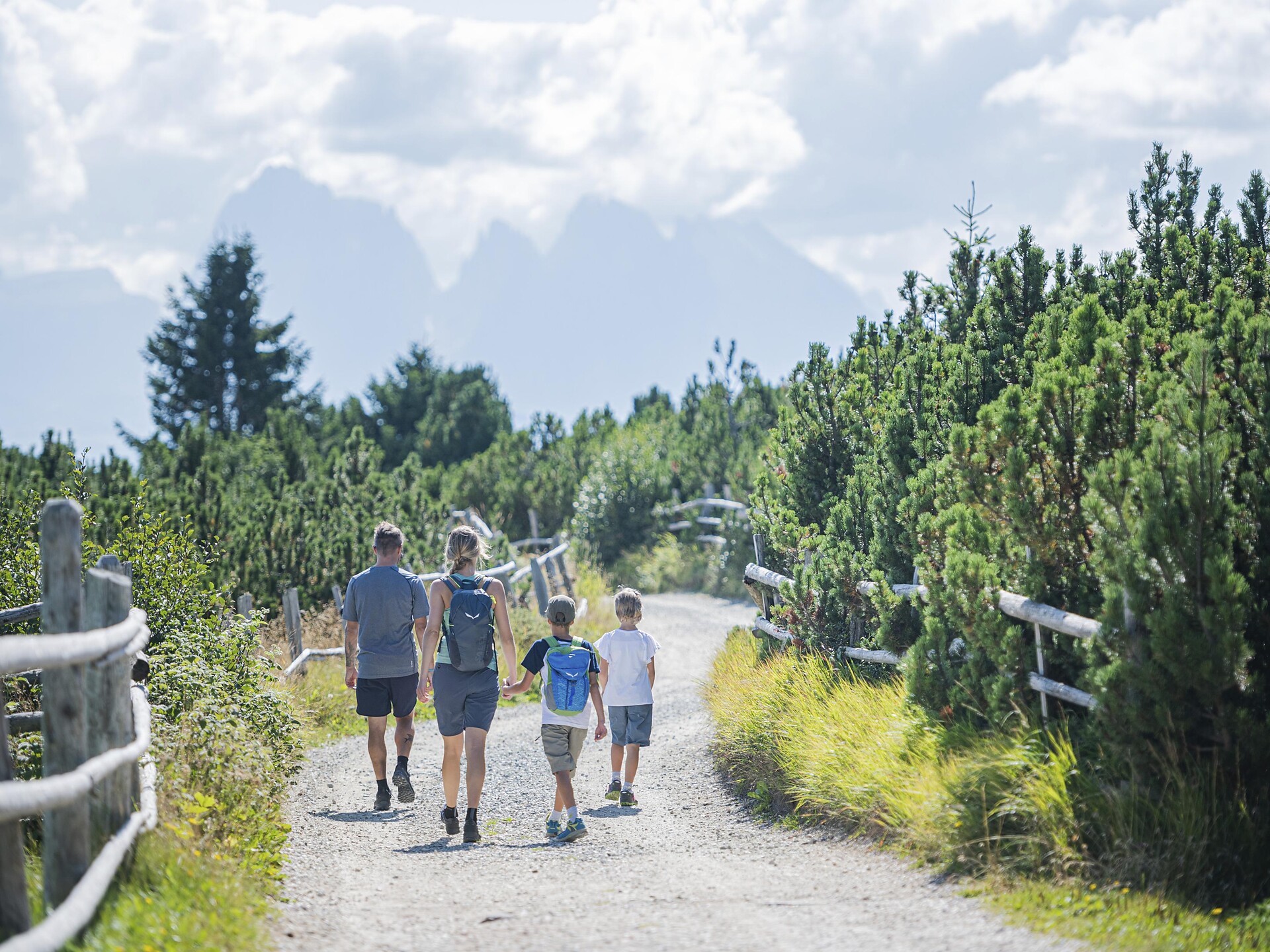 On the Villandro Alp plateau – ideal for families. - Brixen/Bressanone and environs - #1 - suedtirol.info