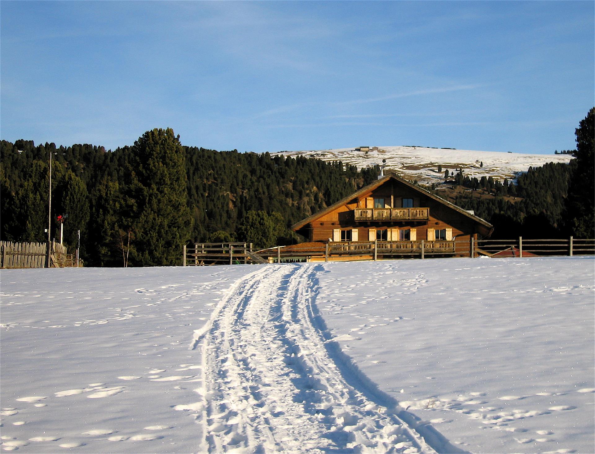 Sull'altopiano dell'Alpe di Villandro Villandro 3 suedtirol.info