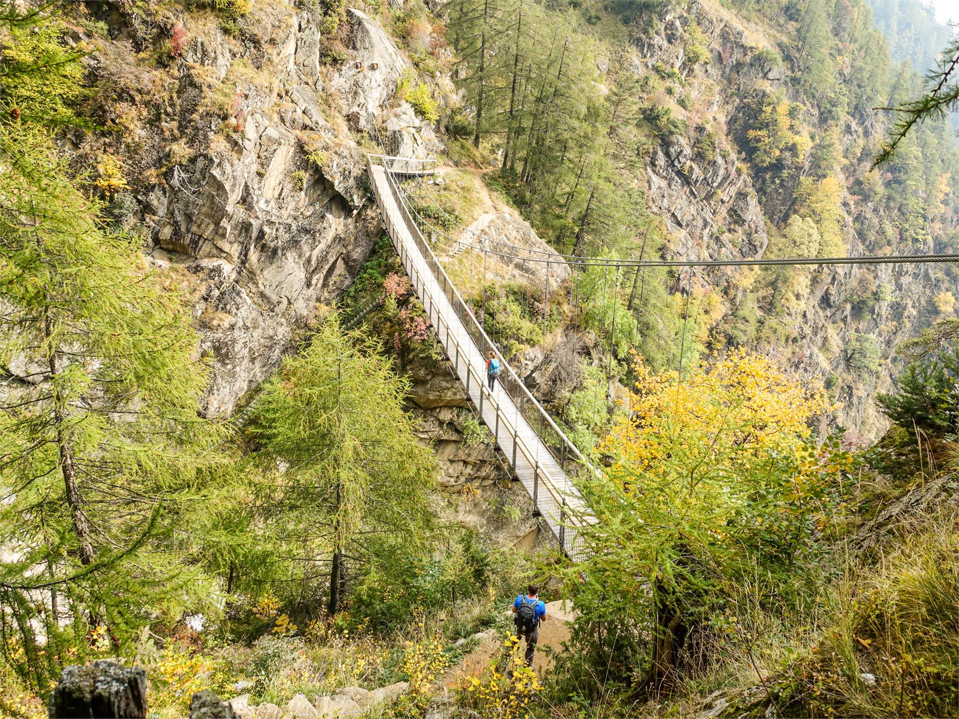 Merano High Mountain Trail - From Giggelberg to Unterstell Partschins/Parcines 6 suedtirol.info