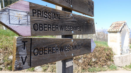 Sull’ „Oberer Wiesenweg“ da Tesimo a Prissiano Tesimo 5 suedtirol.info