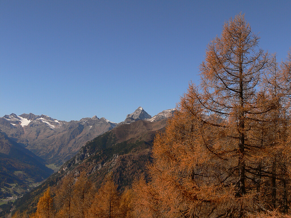 Sul Monte Sommo Val di Vizze 1 suedtirol.info
