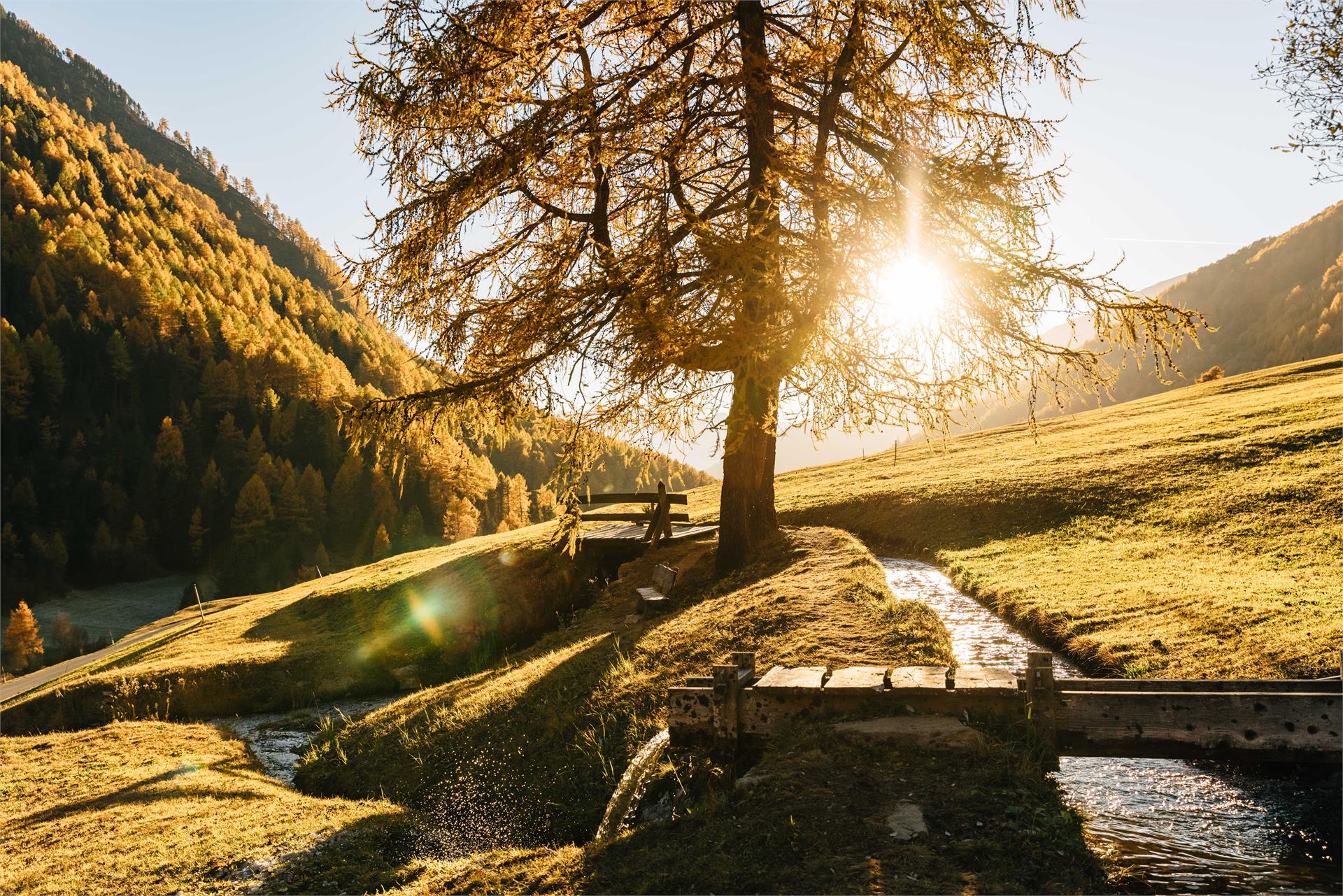 "Ackerwaal" irrigation channel path Mals/Malles 1 suedtirol.info