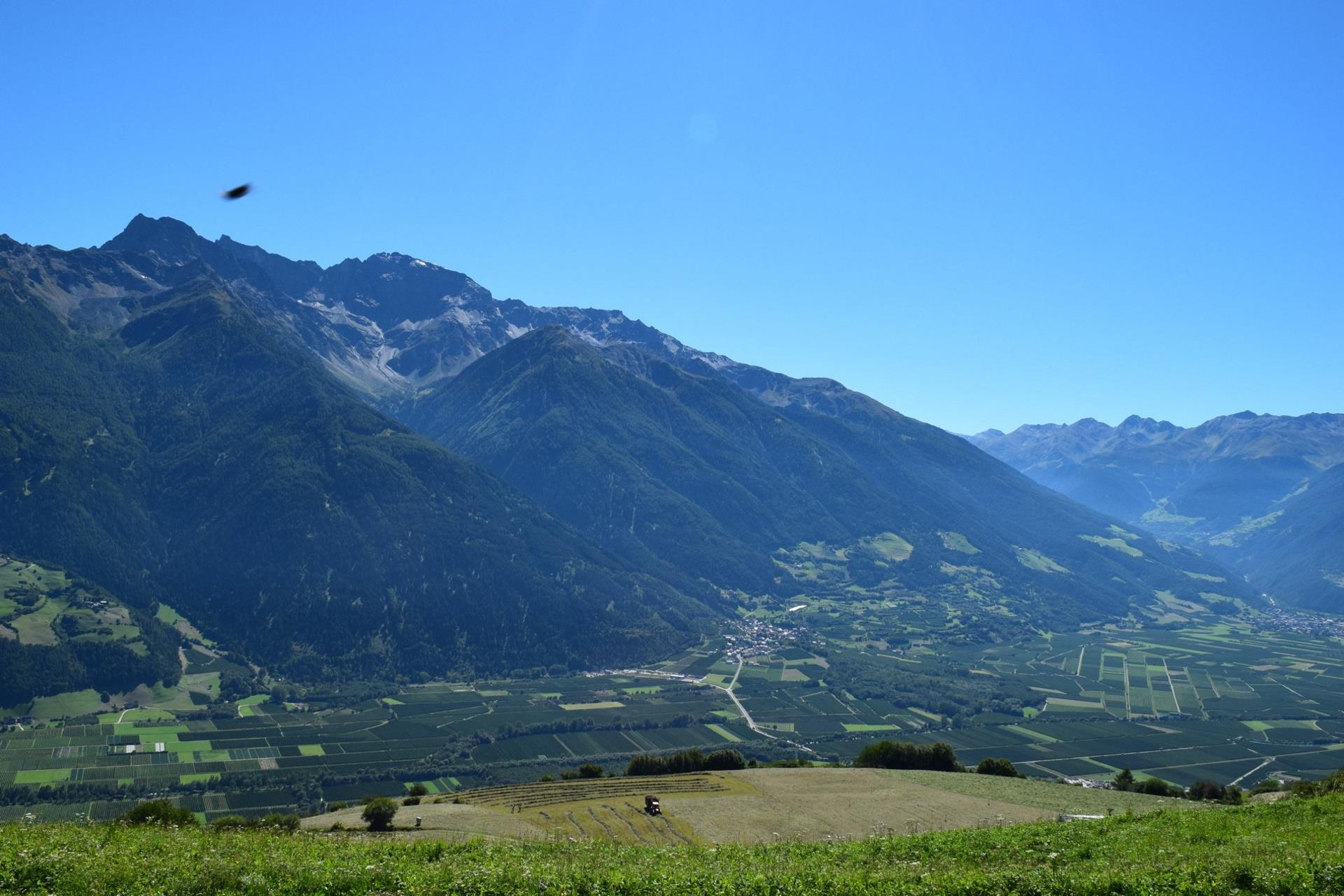 Am Fuße des Nationalparks von Tschengls nach Prad Prad am Stilfser Joch 1 suedtirol.info