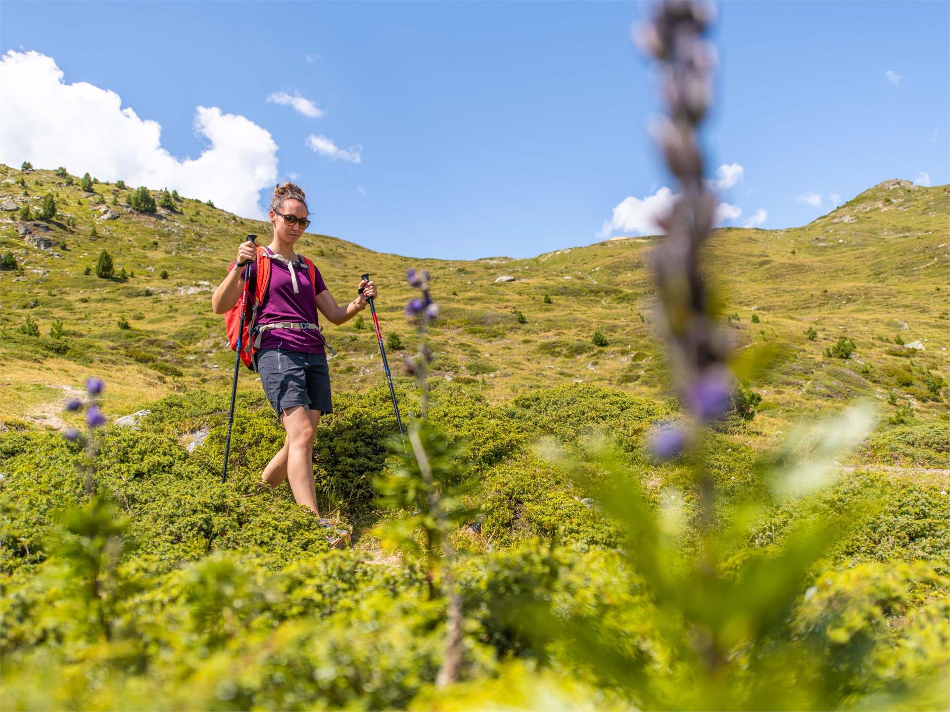 Auf den Piz Terza Taufers im Münstertal 1 suedtirol.info