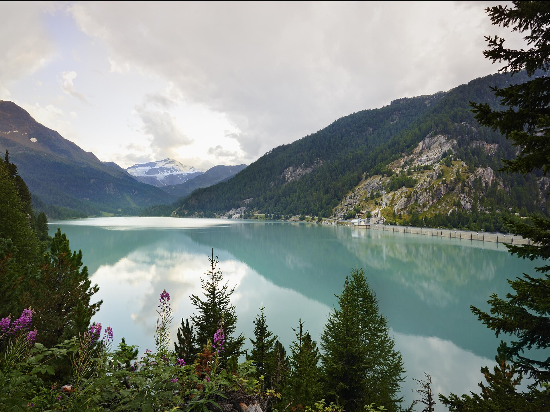 Sulle tracce del Giro d'Italia