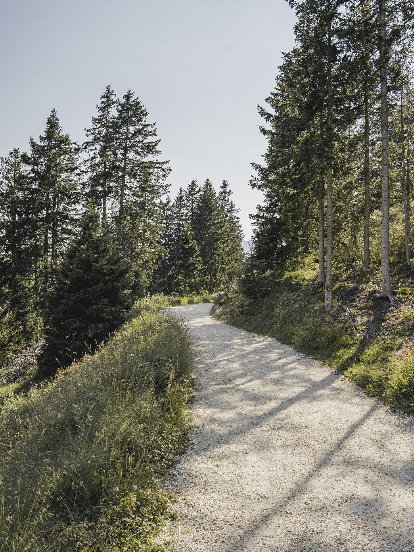 Vecchio sentiero del Giogo - Merano e dintorni - #3 - suedtirol.info