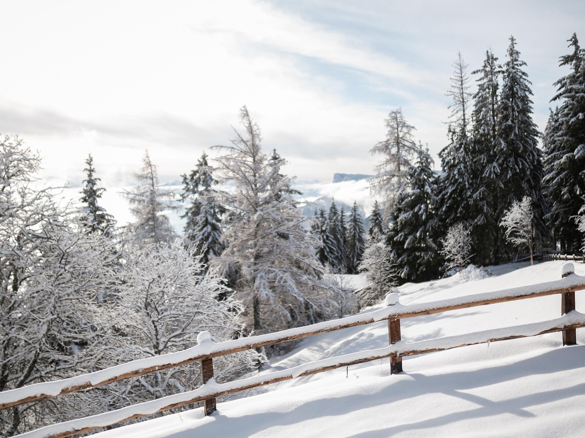 Vecchio sentiero del Giogo - Merano e dintorni - #1 - suedtirol.info
