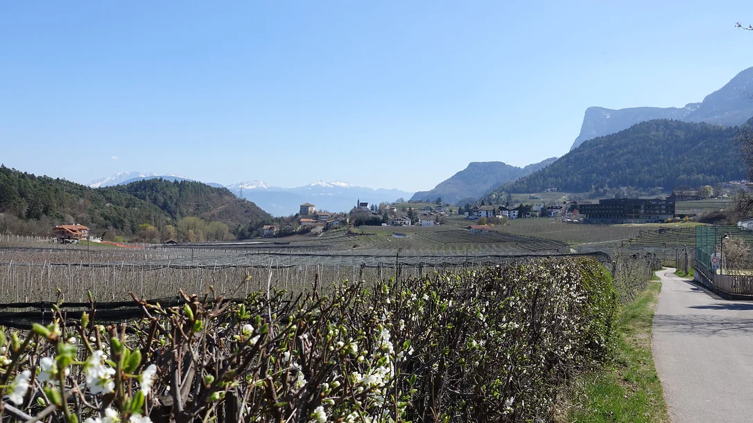 Sull’ “Unterer Wiesenweg” da Prissiano a Tesimo