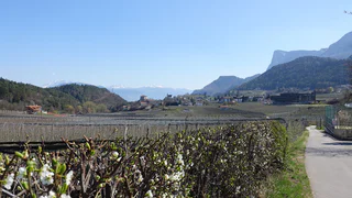 Unterer Wiesenweg Blick nach Prissian