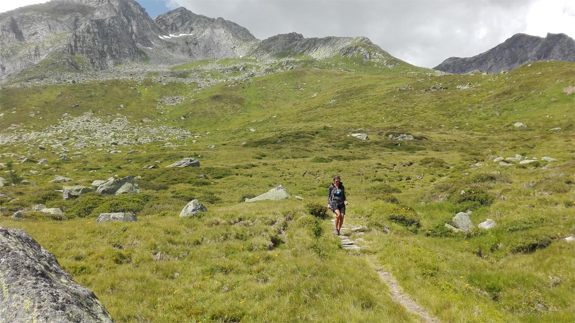 Alm-Trail Prettau-Luttach Prettau 1 suedtirol.info