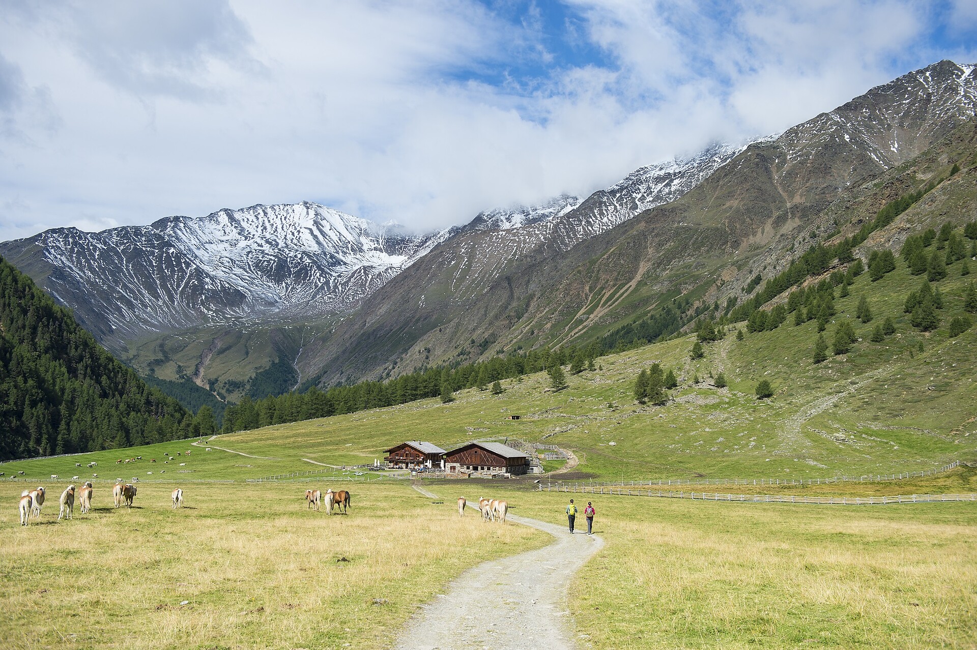 Adventure Hiking Trail