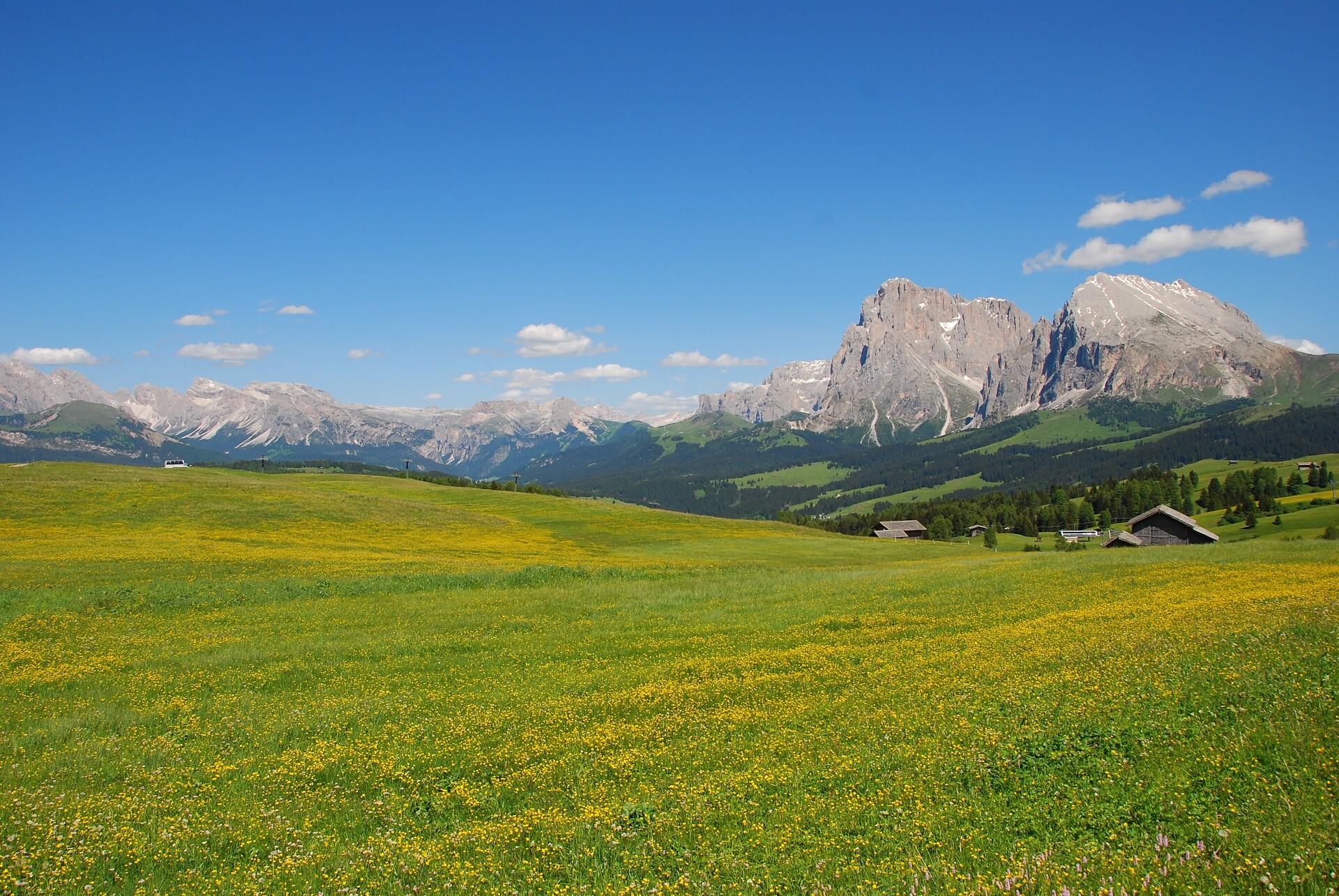 Almwanderung nach Saltria und über das Jendertal nach St.Ulrich - Dolomitenregion Seiser Alm - #3 - suedtirol.info