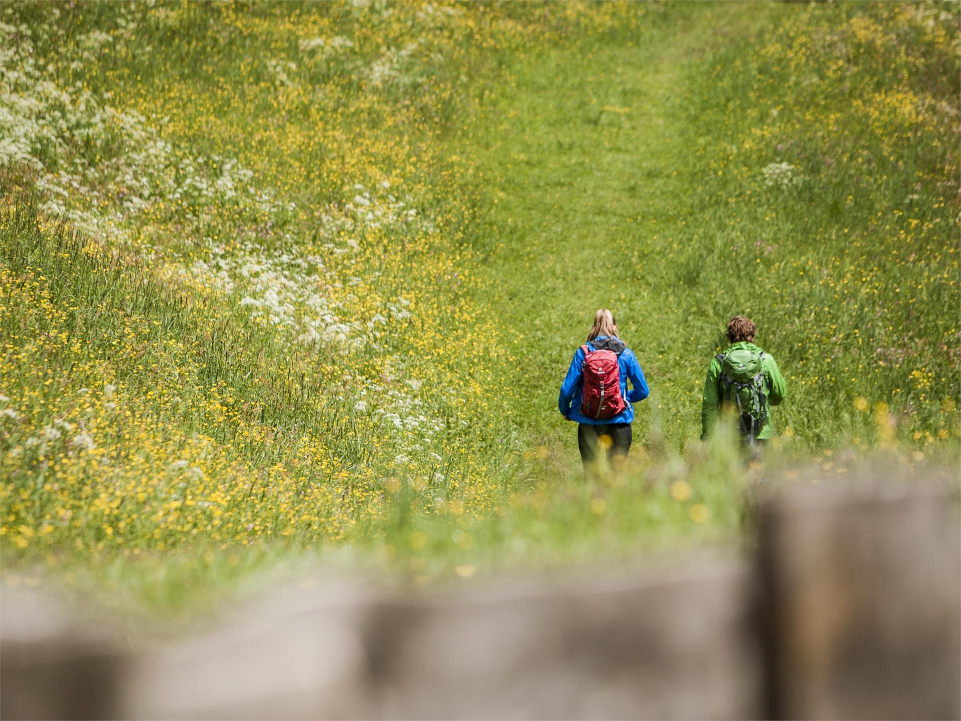 Annaweg - vom Tobl nach Ahornach Sand in Taufers 1 suedtirol.info