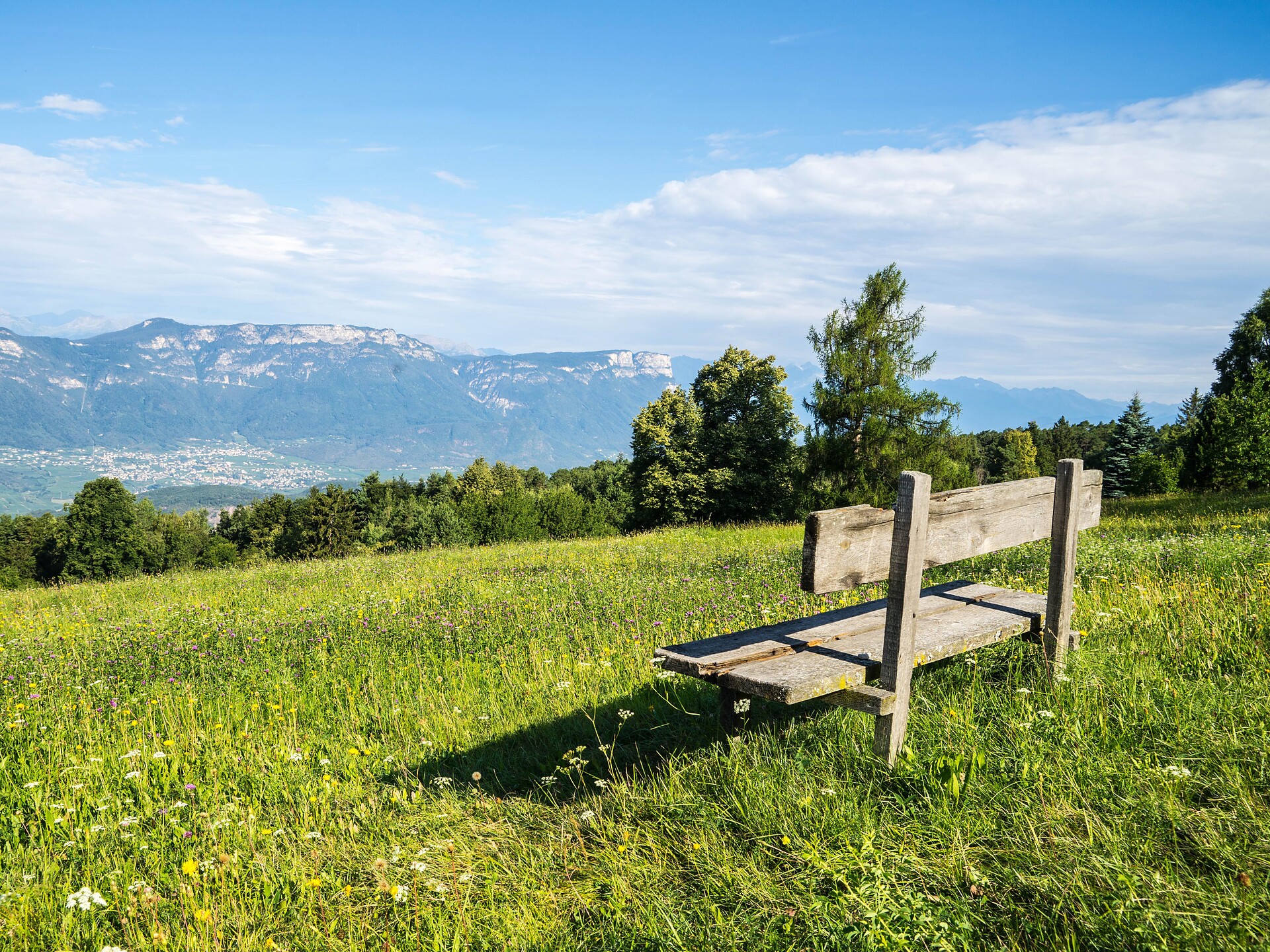 Almenwanderung von Aldein nach Weißenstein -  - #2 - suedtirol.info