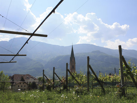 On the trail of Lagrein and Sauvignon Laives/Leifers 4 suedtirol.info