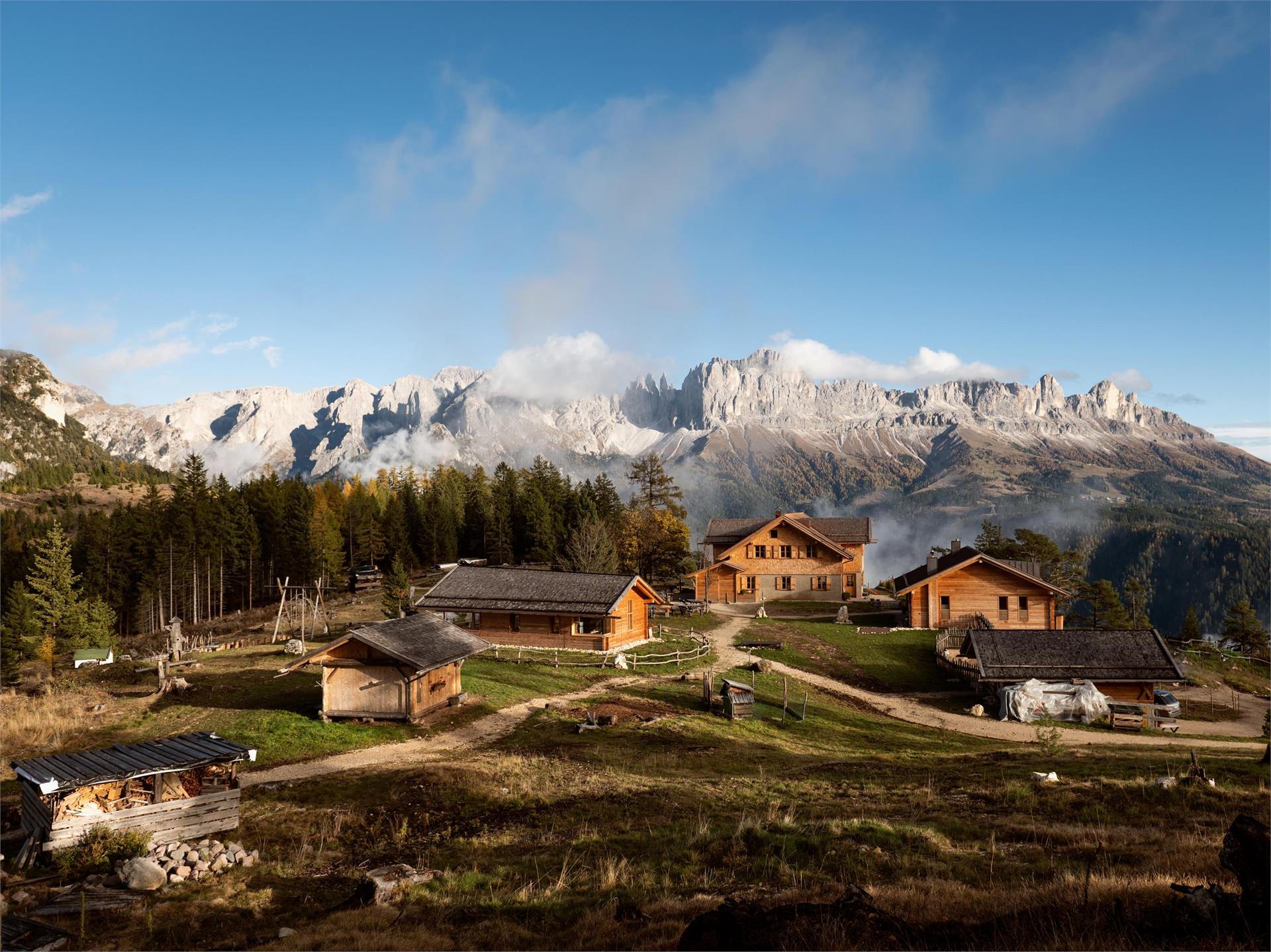 Monte Cavone Tires al Catinaccio 1 suedtirol.info