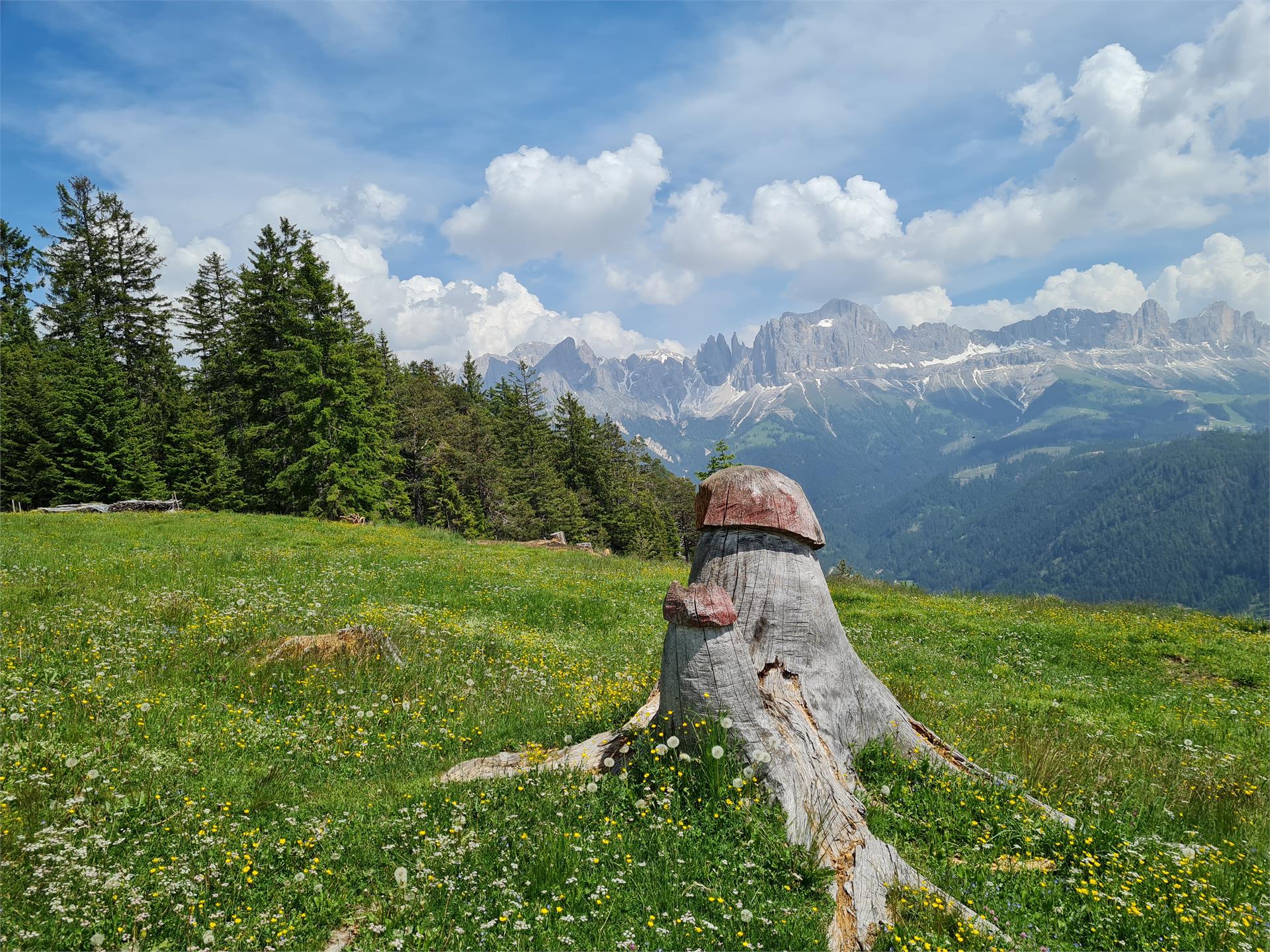 Monte Cavone Tires al Catinaccio 2 suedtirol.info