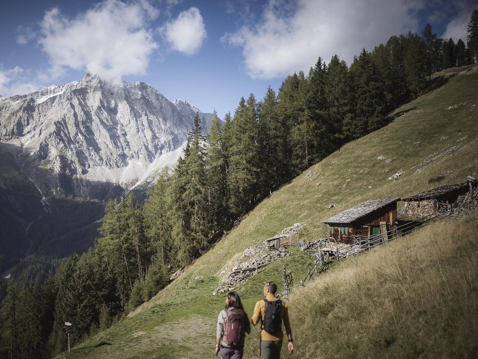 Escursione alle malghe Agstalm, Ausserwegeralm e Pichleralm - Regione dolomitica Plan de Corones - #4 - suedtirol.info