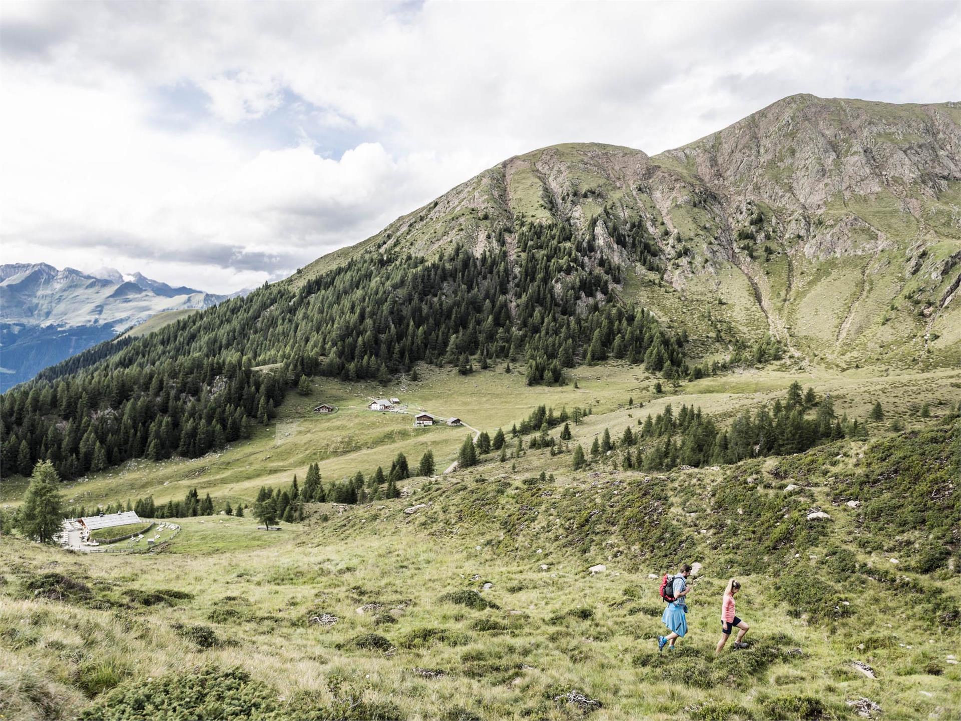 Alpine hike in the Hirzer Region Schenna/Scena 2 suedtirol.info