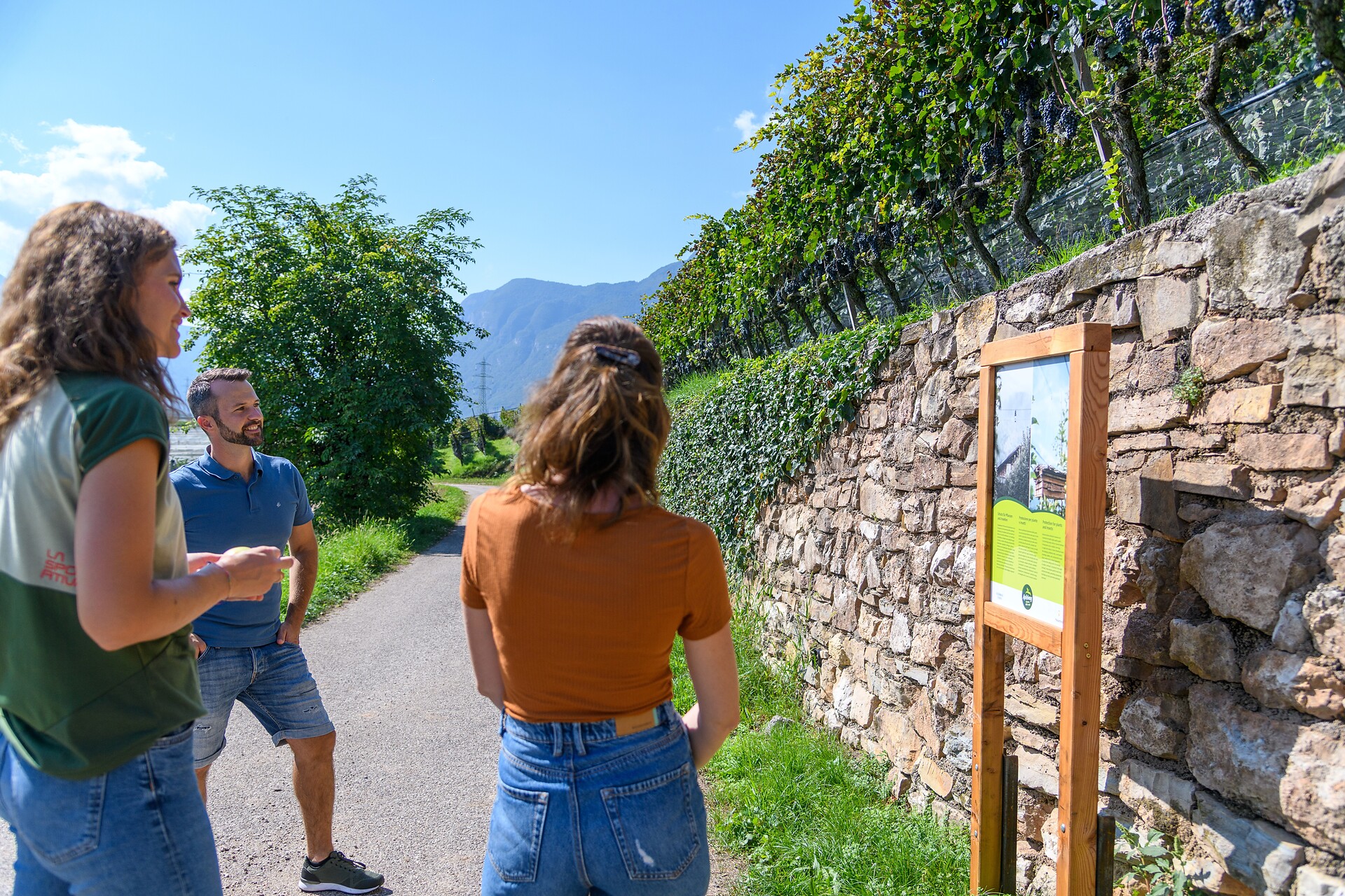 Apple Train Tramin/Kurtatsch - Alto Adige Wine Road - #3 - suedtirol.info