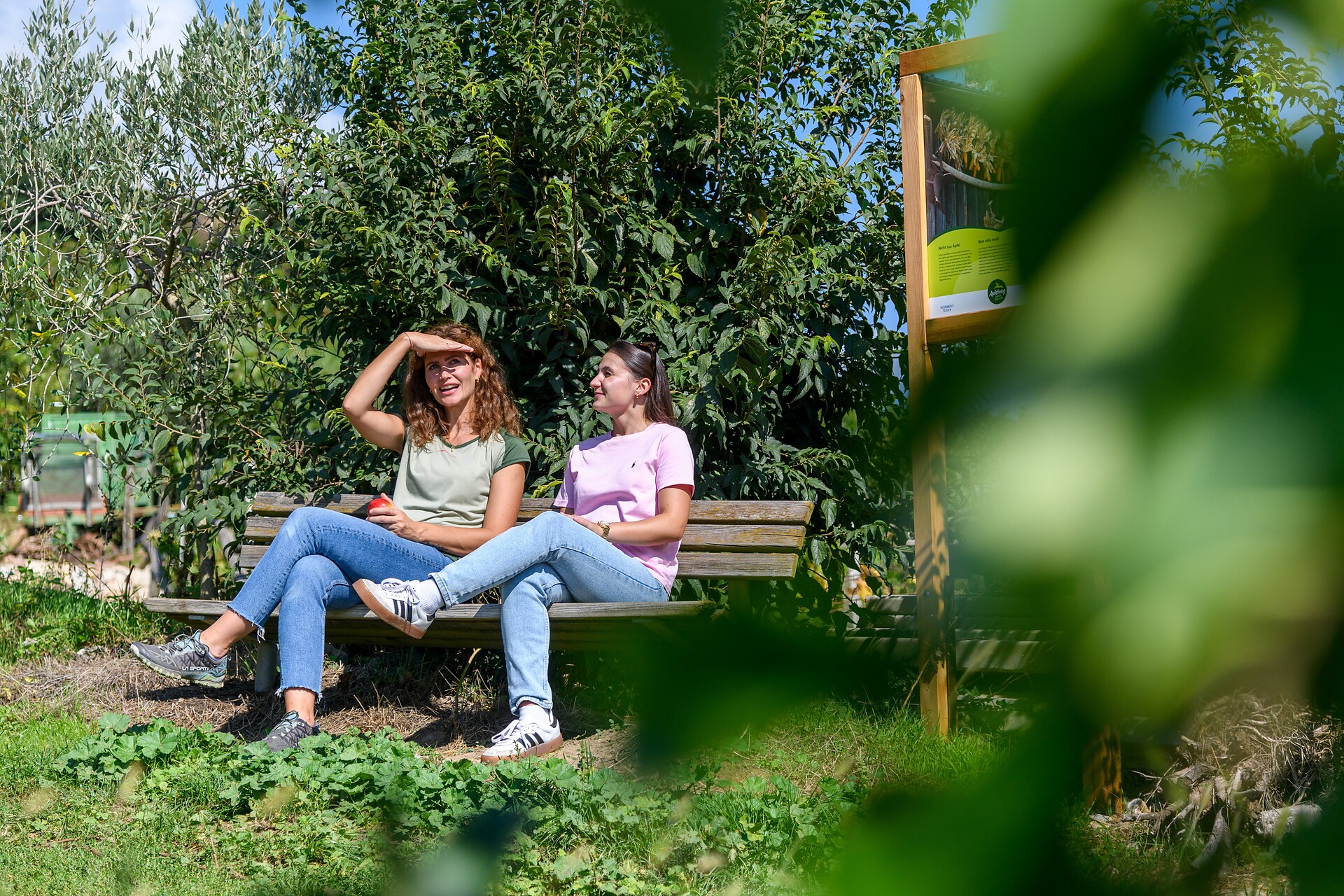 Apple Train Tramin/Kurtatsch - Alto Adige Wine Road - #4 - suedtirol.info