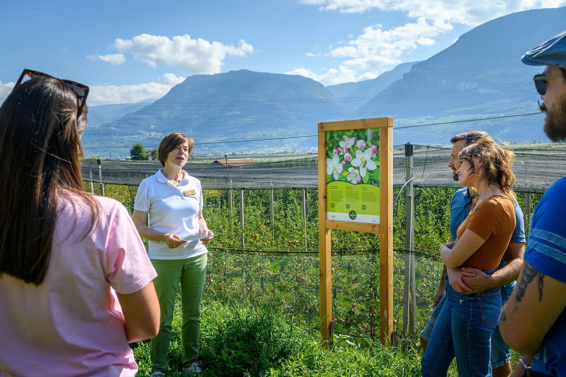 Apple Train Tramin/Kurtatsch - Alto Adige Wine Road - #1 - suedtirol.info