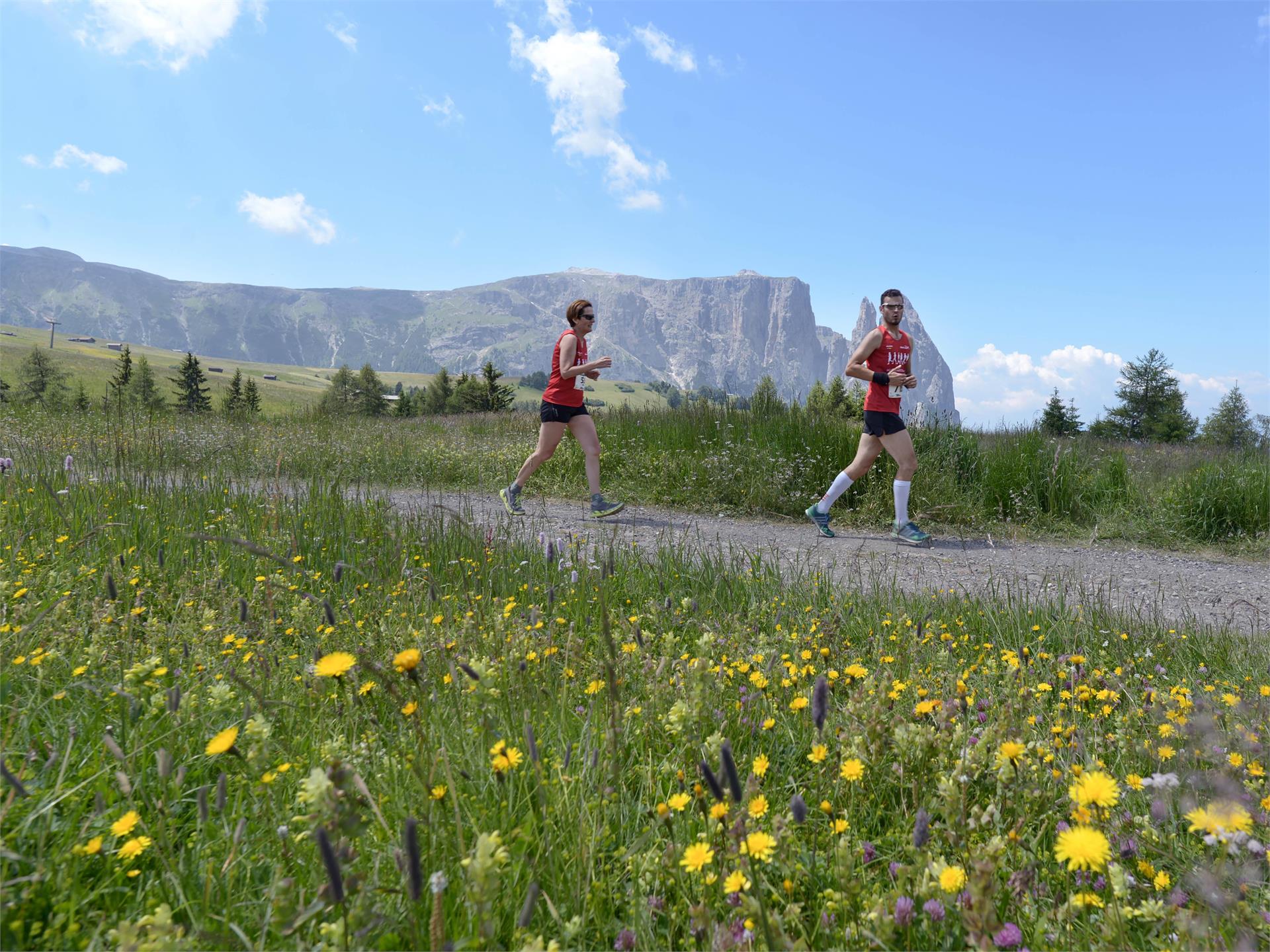 Alpe Run Castelrotto 2 suedtirol.info