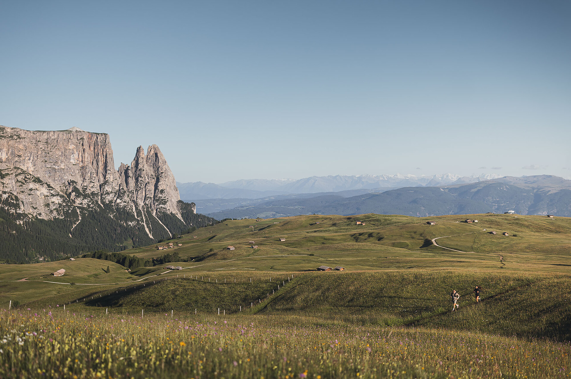 Alpe Run - Dolomitenregion Seiser Alm - #1 - suedtirol.info