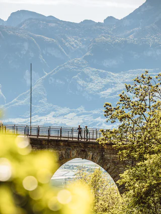 Blauburgunderweg Alternativrunde: Montan - Glen - Montan - Montan - #3 - suedtirol.info