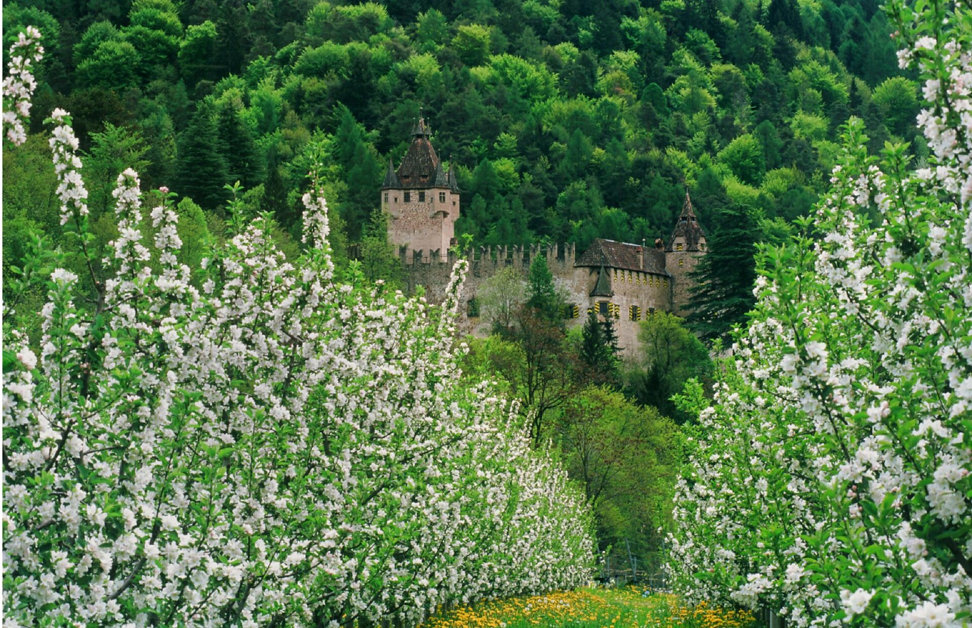 Enn Castle