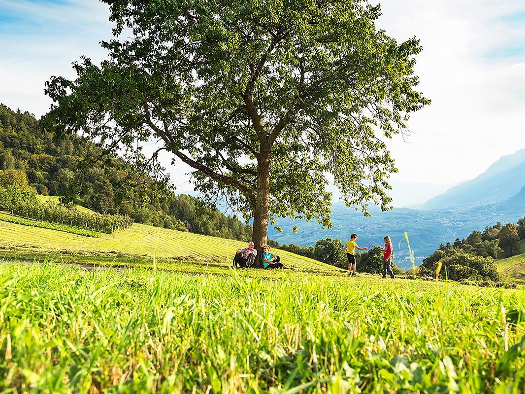 Sentiero dei castelli "Castelronda" San Genesio variazioine B Terlano 4 suedtirol.info