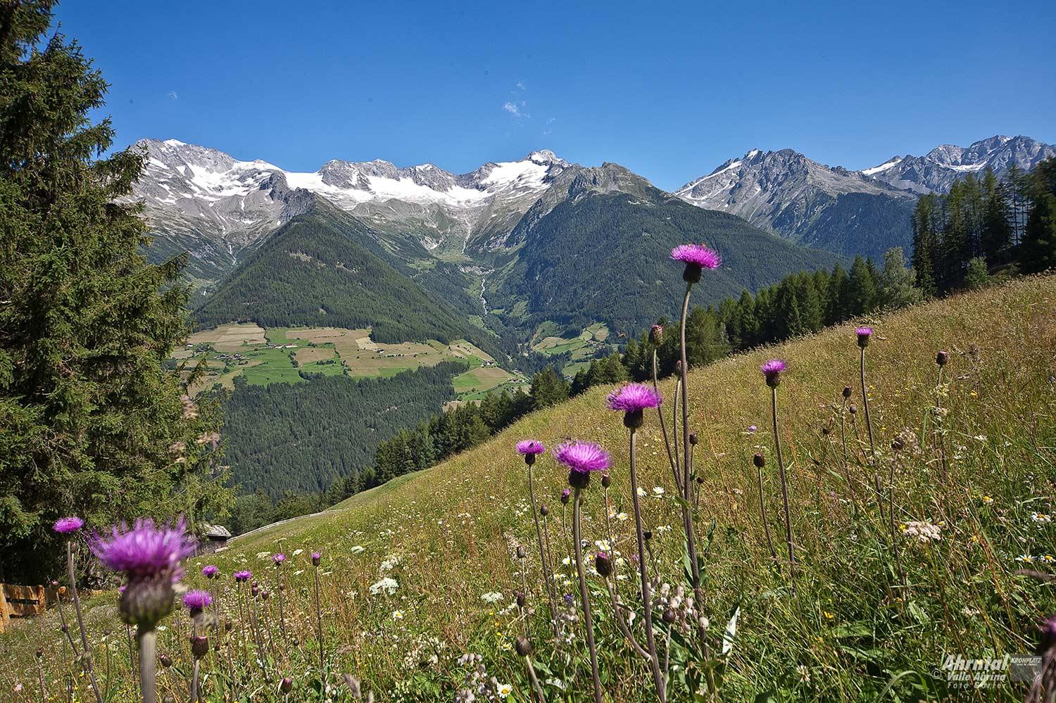 Bergtour zum Schaufler Ahrntal 1 suedtirol.info