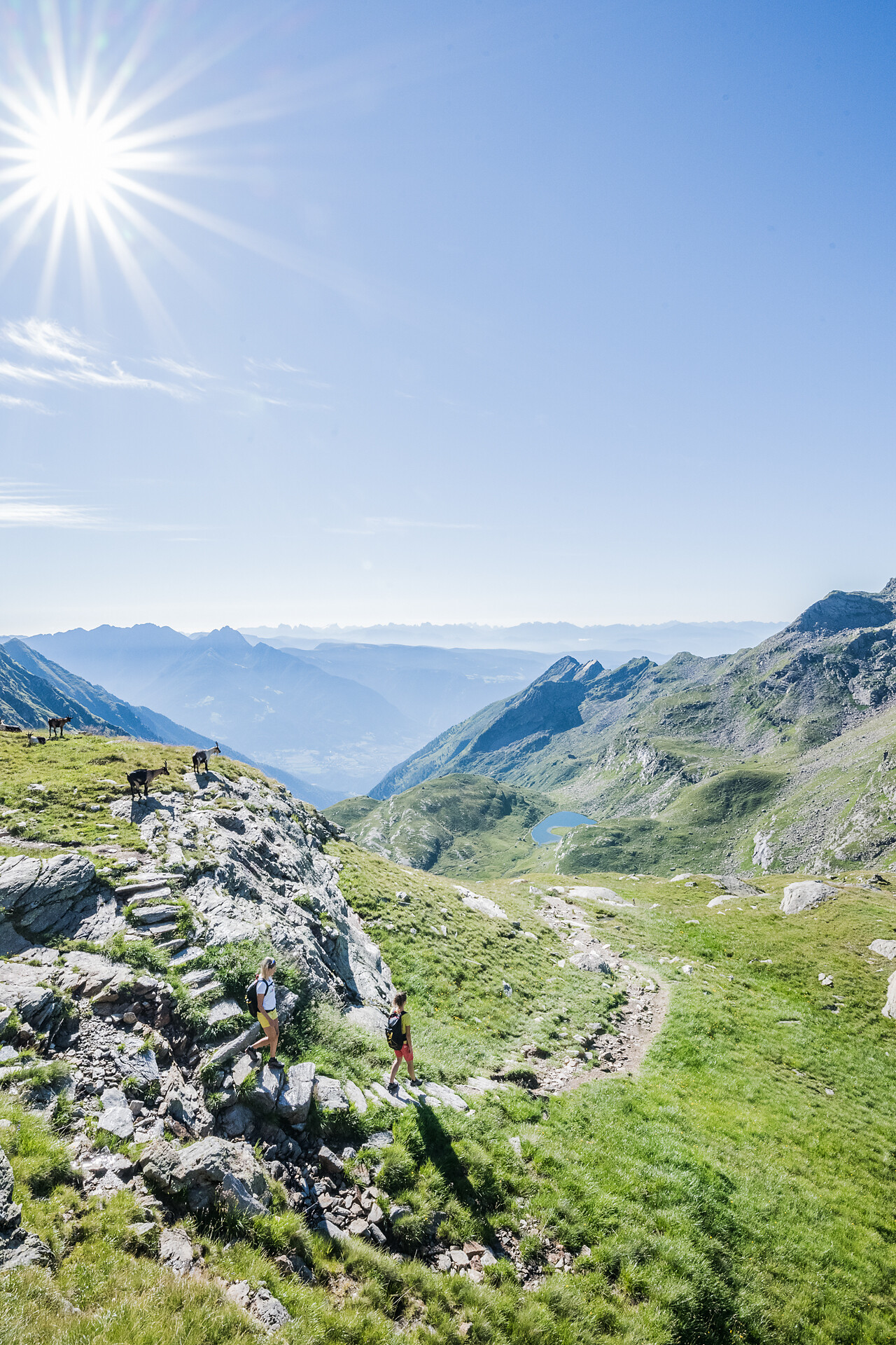 Escursione verso la Forcella di Sopranes - Merano e dintorni - #1 - suedtirol.info