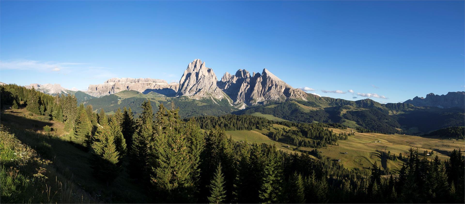 Barrierefreies Ausflugsziel auf der Seiser Alm St.Ulrich 2 suedtirol.info