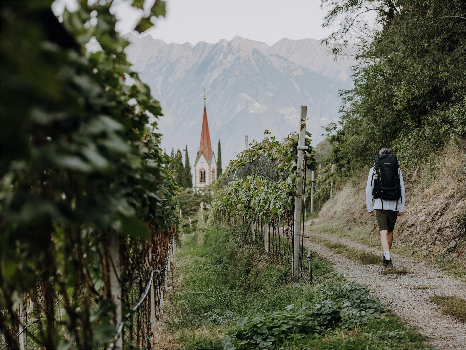 Burgstall Graf Volkmar-Trimm-dich-Pfad Burgstall 4 suedtirol.info