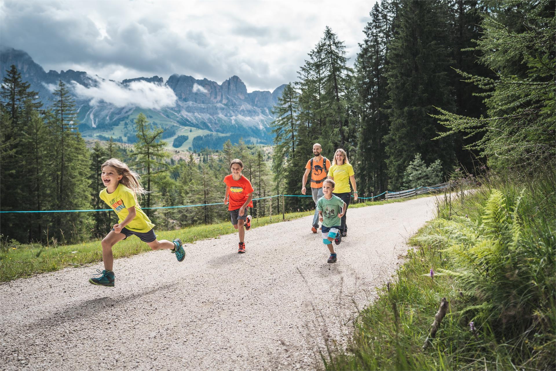 Escursione senza barriere dal Passo del Niger al maso Jocher Nova Levante 4 suedtirol.info