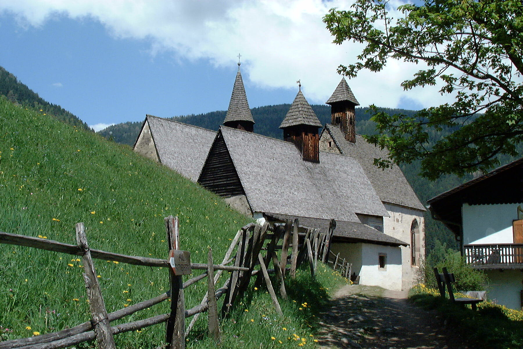 Trechiese