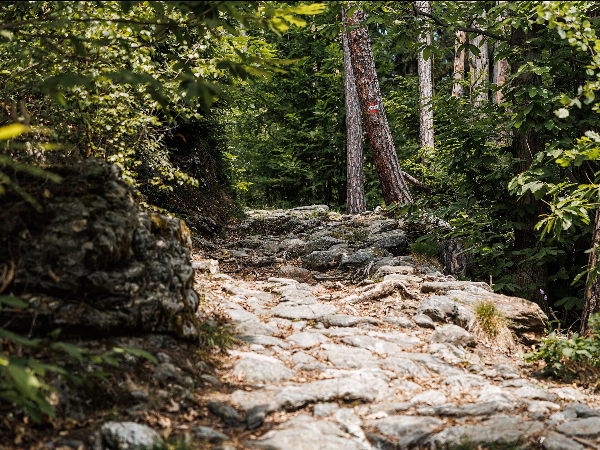 Barbian-Dreikirchen  - Brixen und Umgebung - #4 - suedtirol.info
