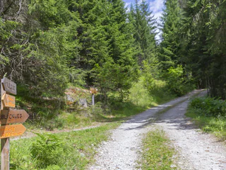 Babyrunde in Taisten - Welsberg-Taisten - #1 - suedtirol.info