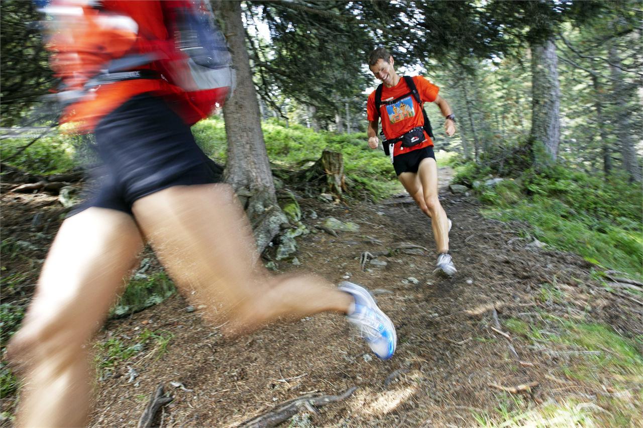 The "Yellow" Mountain running track Partschins/Parcines 3 suedtirol.info