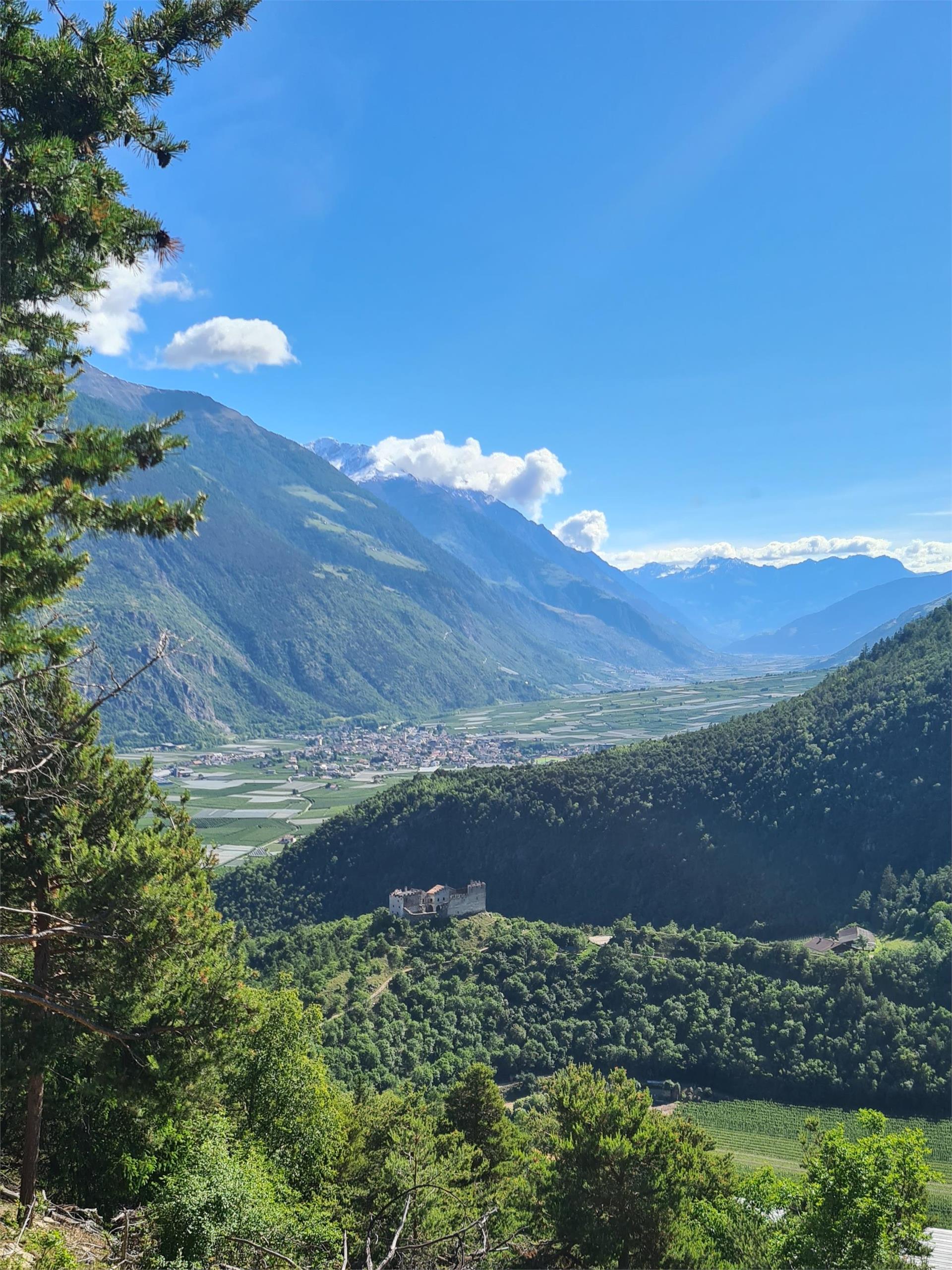 "Broatraschgl" tour Latsch/Laces 3 suedtirol.info