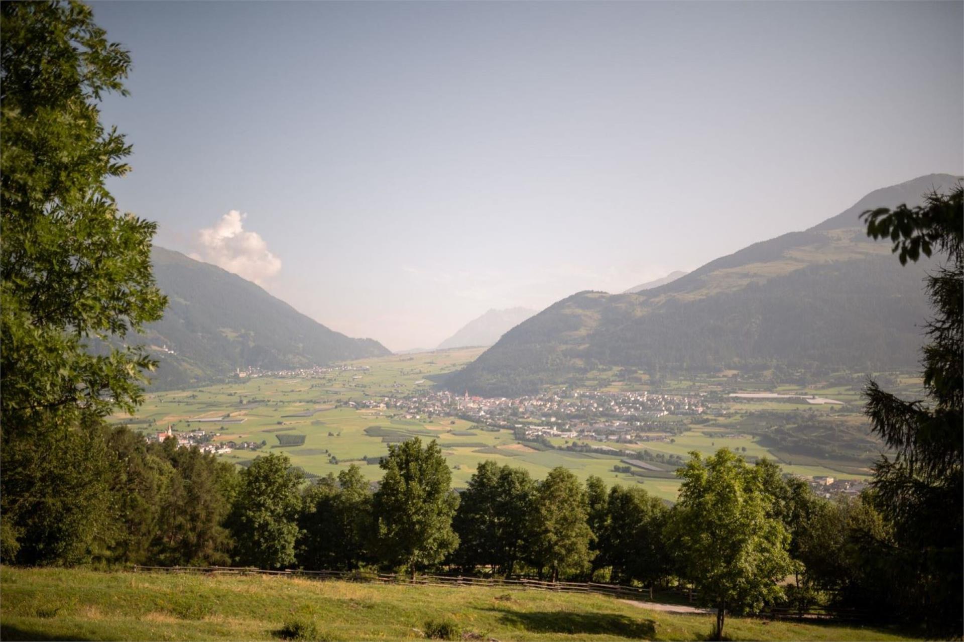 "Bergwaal" irrigation channel path Glurns/Glorenza 1 suedtirol.info