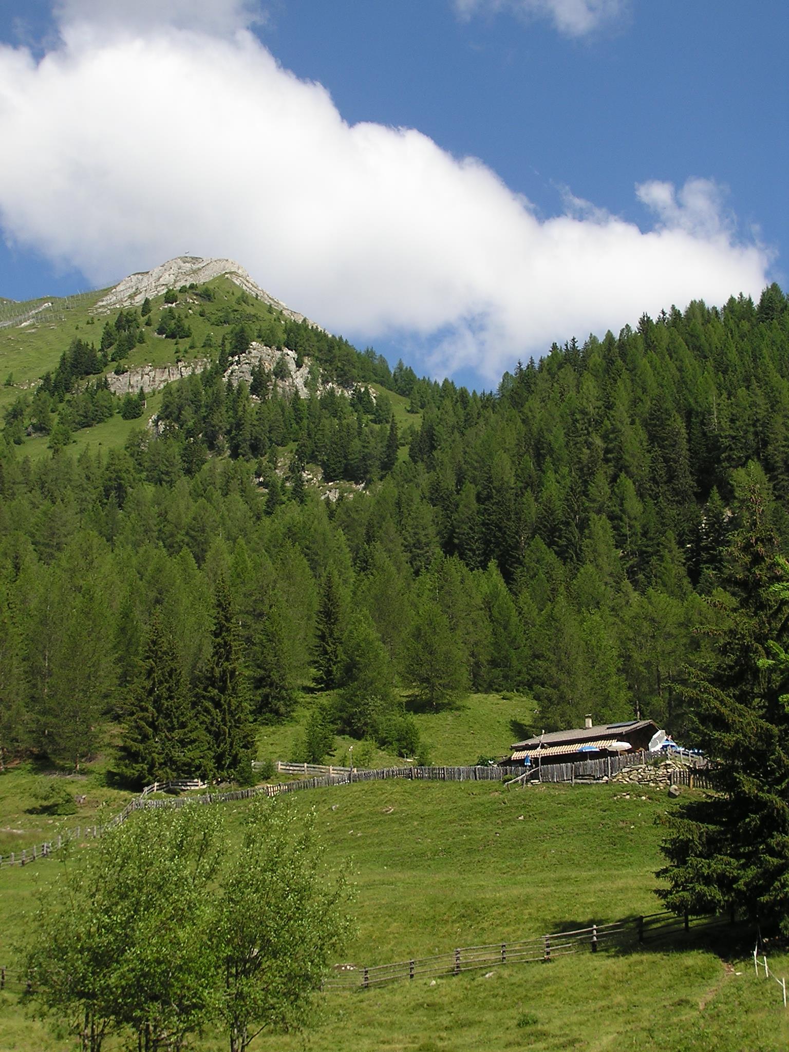 Mountain tour to Schönberg Ahrntal/Valle Aurina 1 suedtirol.info
