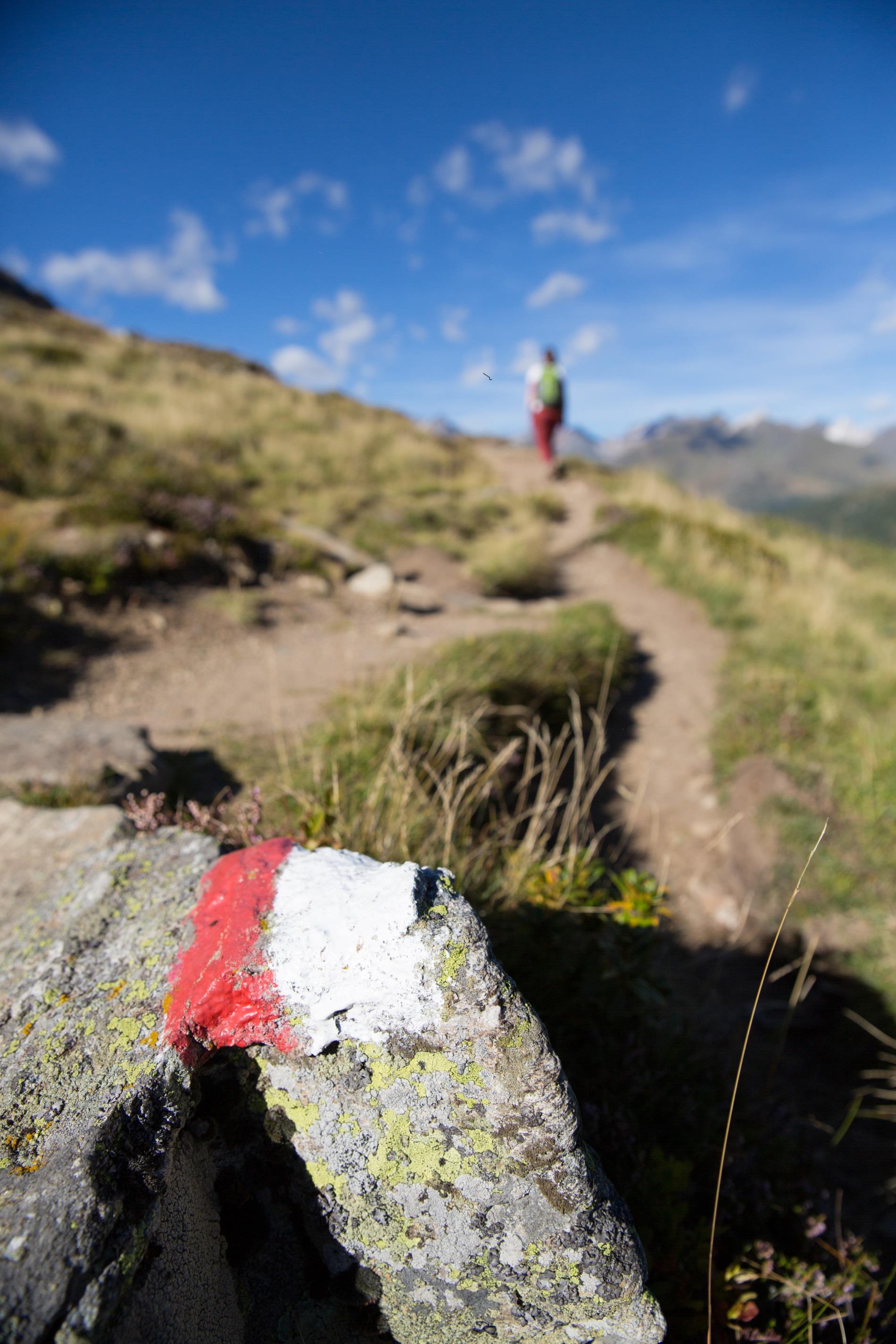 Alpine Tour to the Hochwart Mountain (2, 454 m) Riffian/Rifiano 1 suedtirol.info