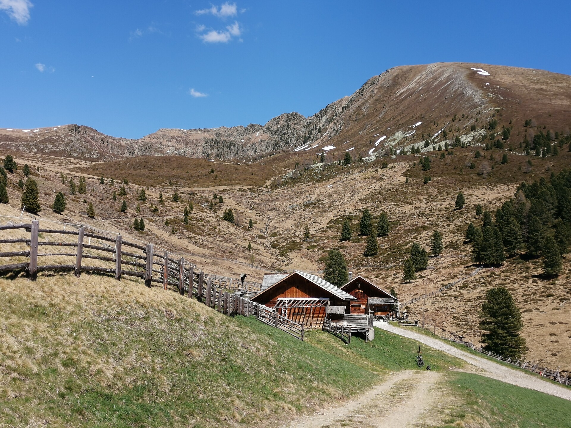 Hiking tour to the summit of the “Geige” in Tesselberg/Montassilone - Dolomites Region Kronplatz/Plan de Corones - #3 - suedtirol.info