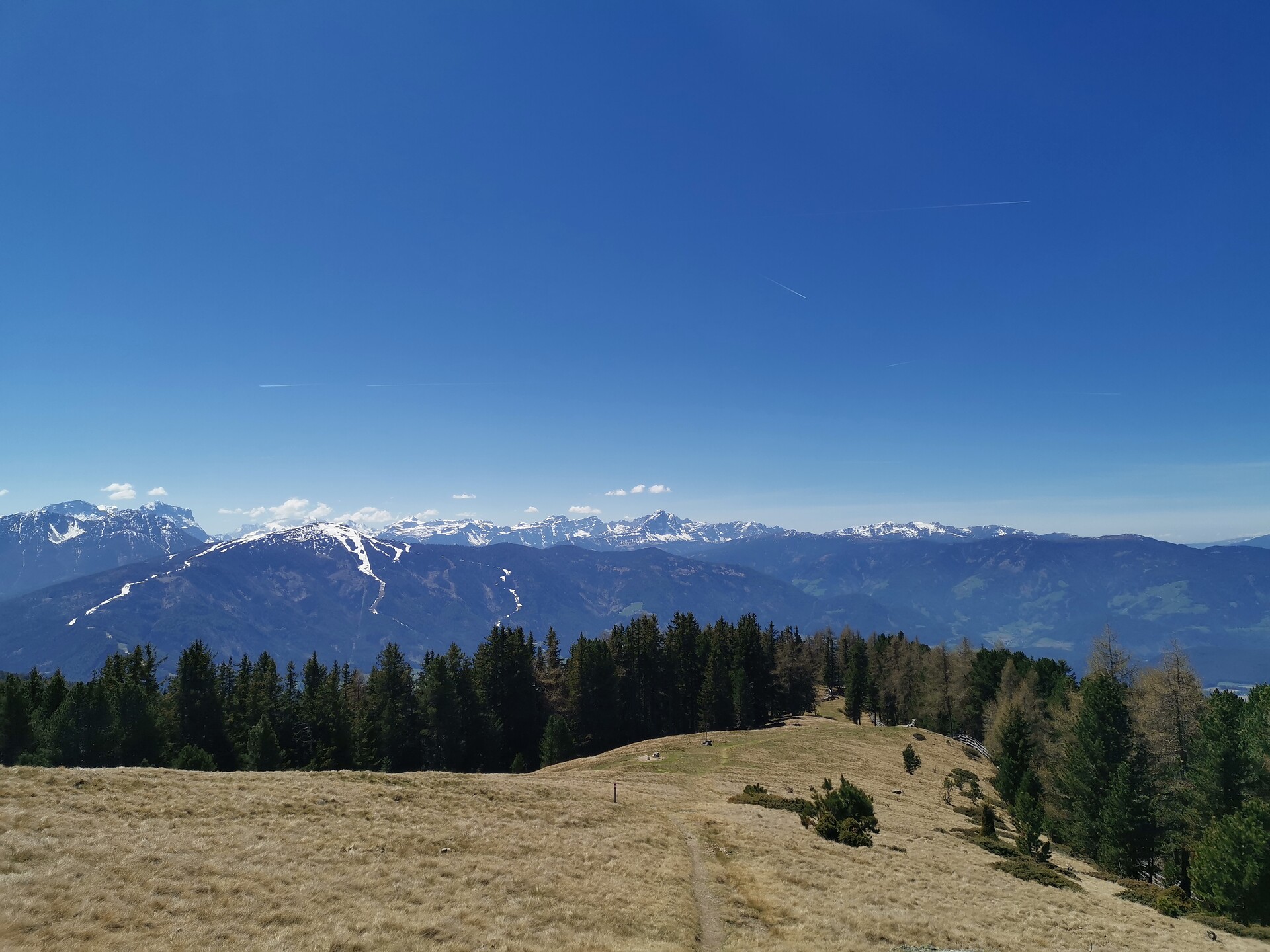 Hiking tour to the summit of the “Geige” in Tesselberg/Montassilone - Dolomites Region Kronplatz/Plan de Corones - #2 - suedtirol.info