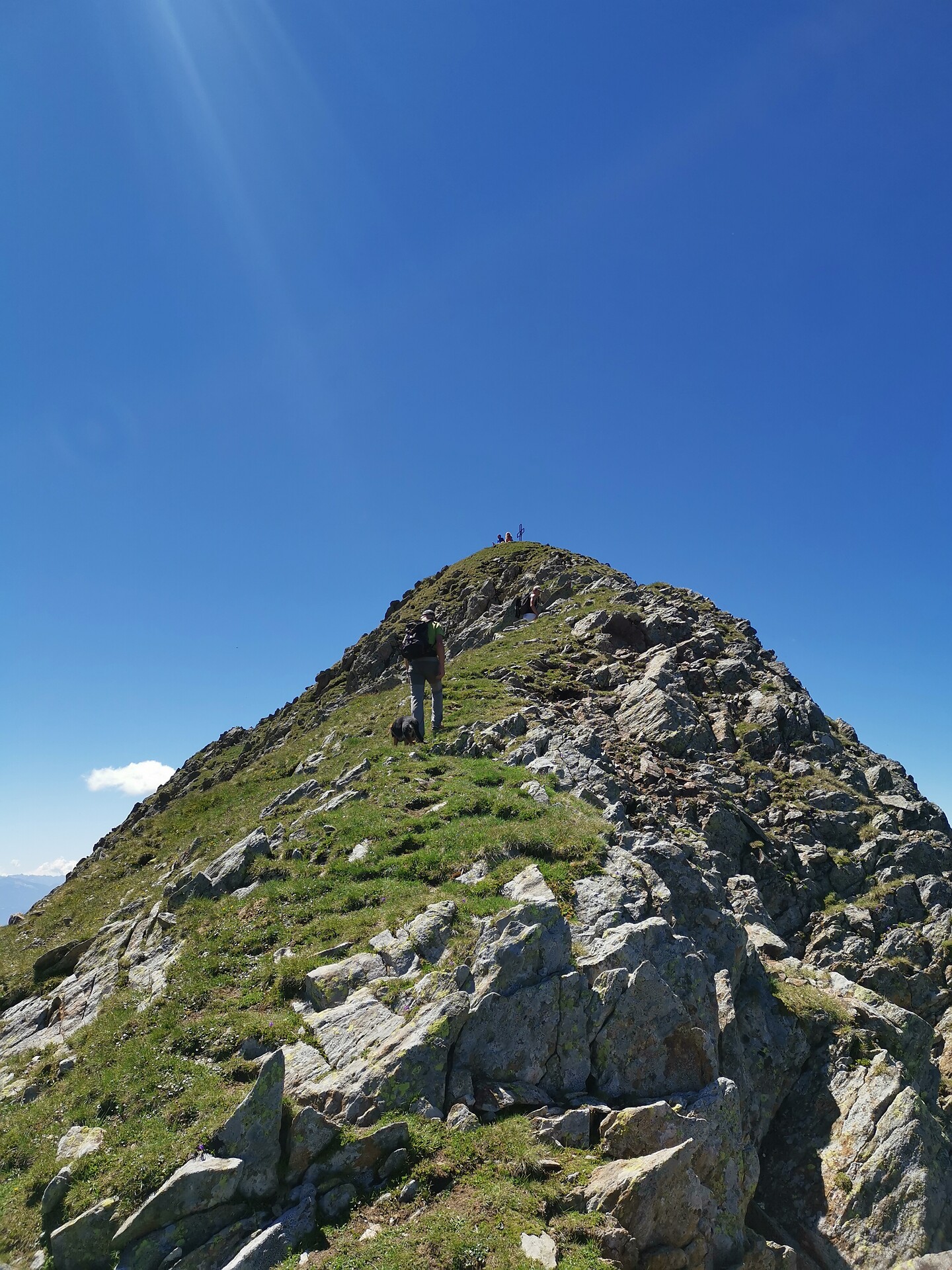 Alplerspitze/Punta Alpetta